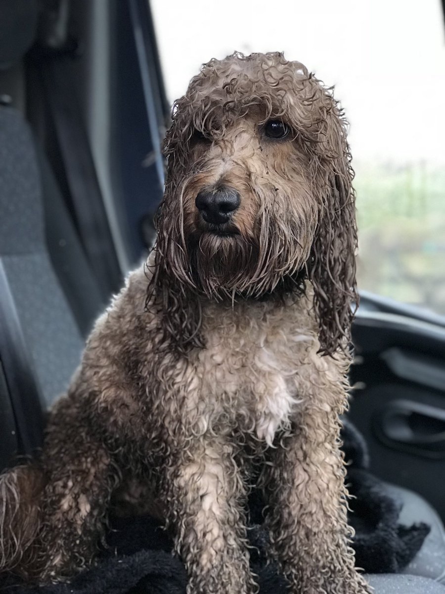 tedbites tweet picture