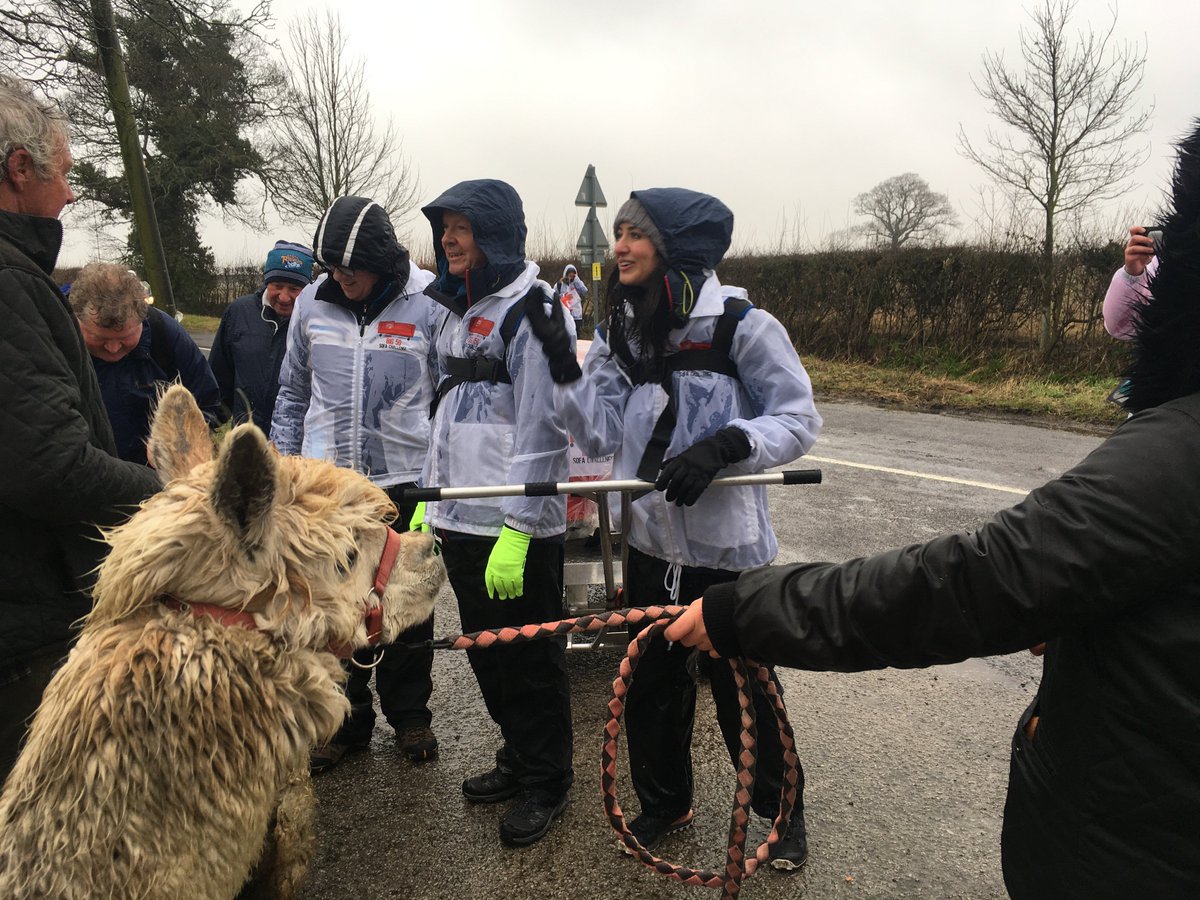 Hornington Manor tweet media