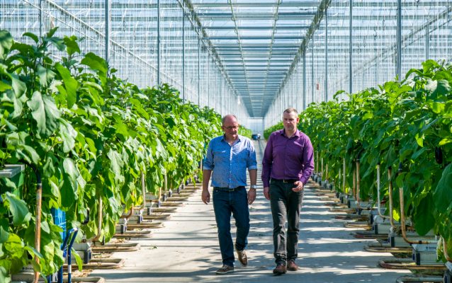 AgroEnergy tweet media