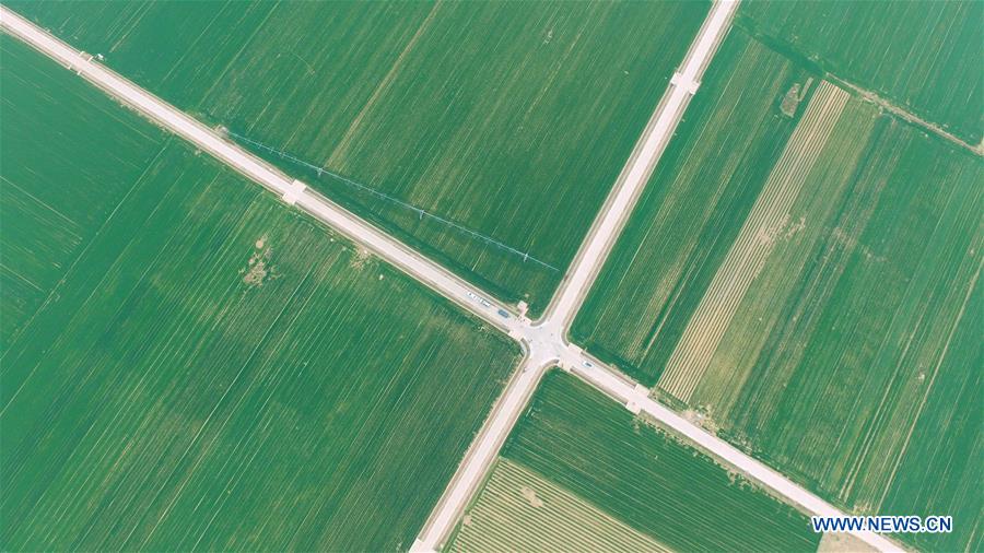 PDChina's tweet photo. Drones, electric watering machines and other intelligent equipment have started to serve farming industry in central China's #Henan Province (Photo/Xinhua) https://t.co/ejf3JpZxqD