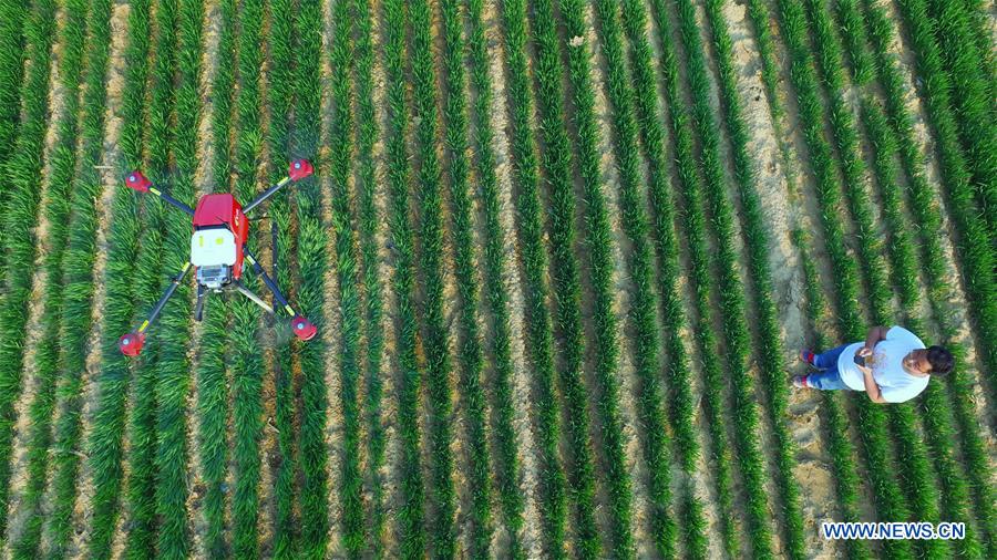PDChina's tweet photo. Drones, electric watering machines and other intelligent equipment have started to serve farming industry in central China's #Henan Province (Photo/Xinhua) https://t.co/ejf3JpZxqD