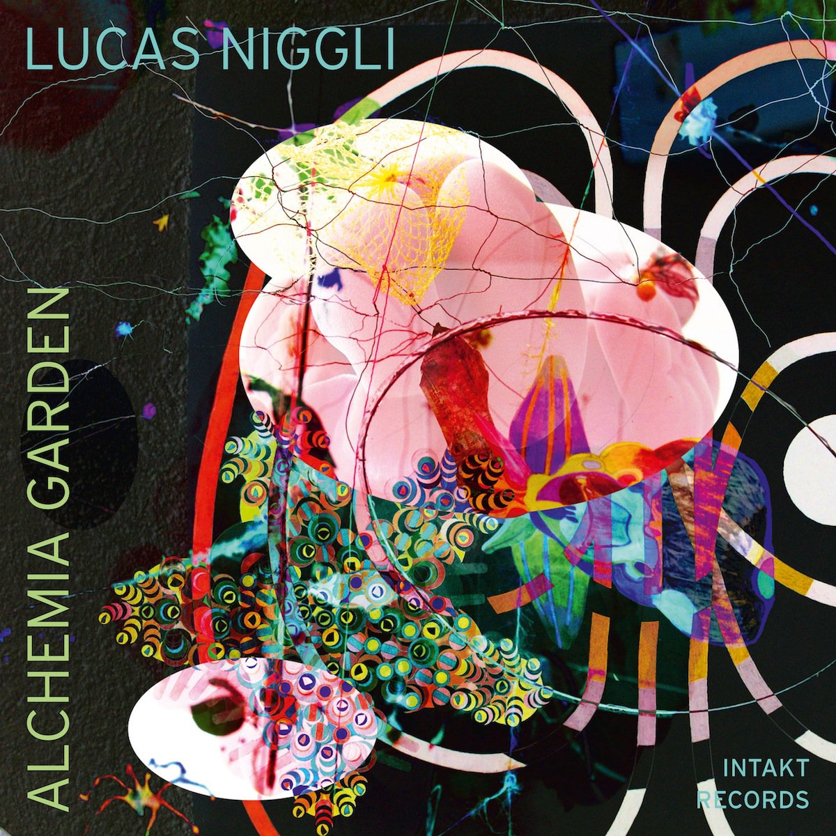 New release in March 2018: LUCAS NIGGLI. ALCHEMIA GARDEN. Lucas Niggli: Drums, Percussion. Intakt CD 302. intaktrec.ch/302-a.htm @LucasNiggli