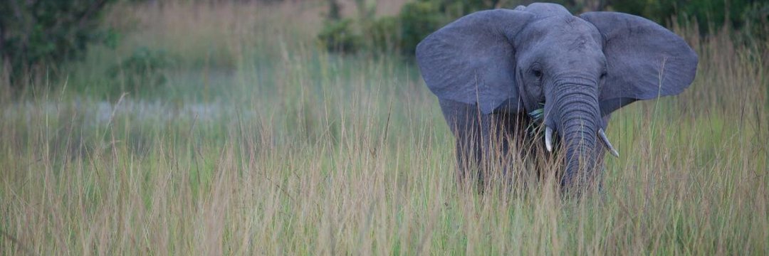 FlylinksClub's tweet image. Tourism the economy backbone of a country