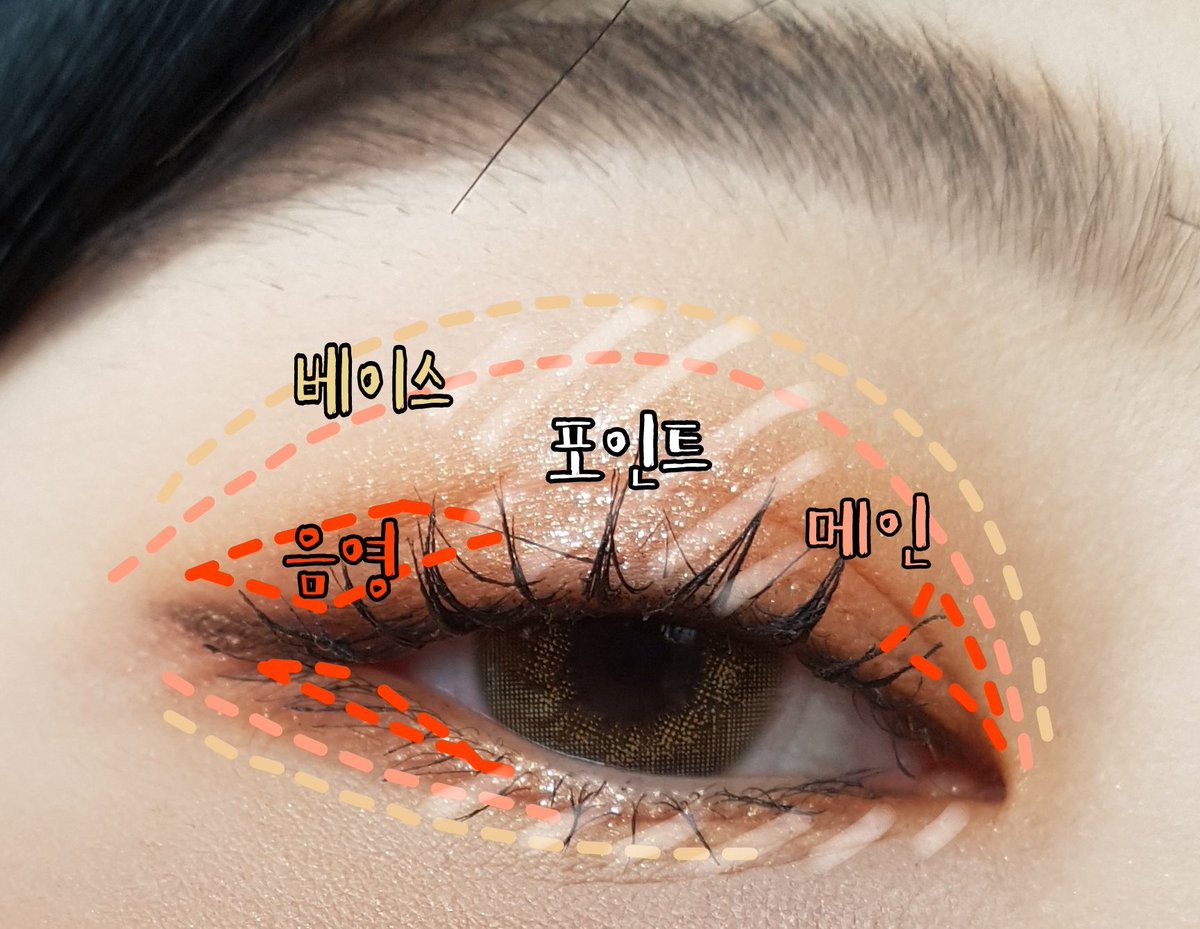 🌸초보자를 위한 섀도우바르기 4단계🌸
1.베이스:연한컬러/눈두덩이 전체
2.메인:중간컬러/쌍꺼풀라인or그위까지
3.음영:진한컬러/앞뒤,언더끝
4.포인트:글리터/눈두덩이 중앙, 언더 앞쪽부터 중앙까지