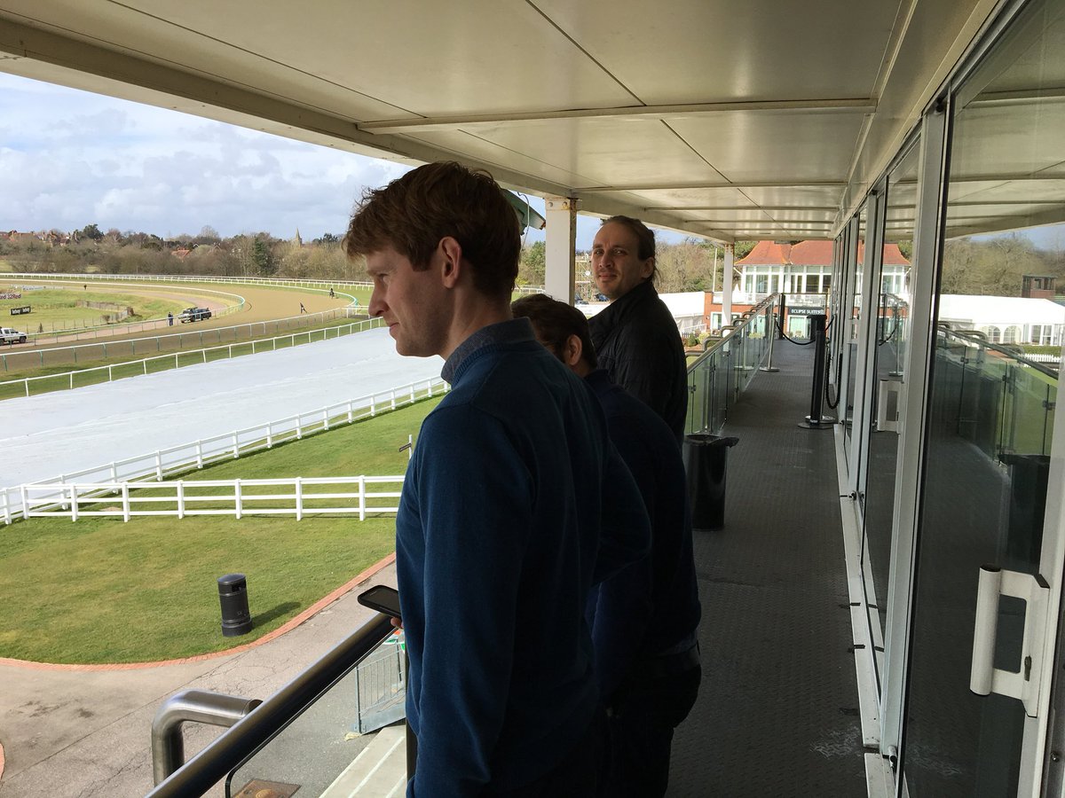 irregularbi's tweet photo. Lunchtime at Lingfield #SenseDeepDive https://t.co/W4aTL9yDvL