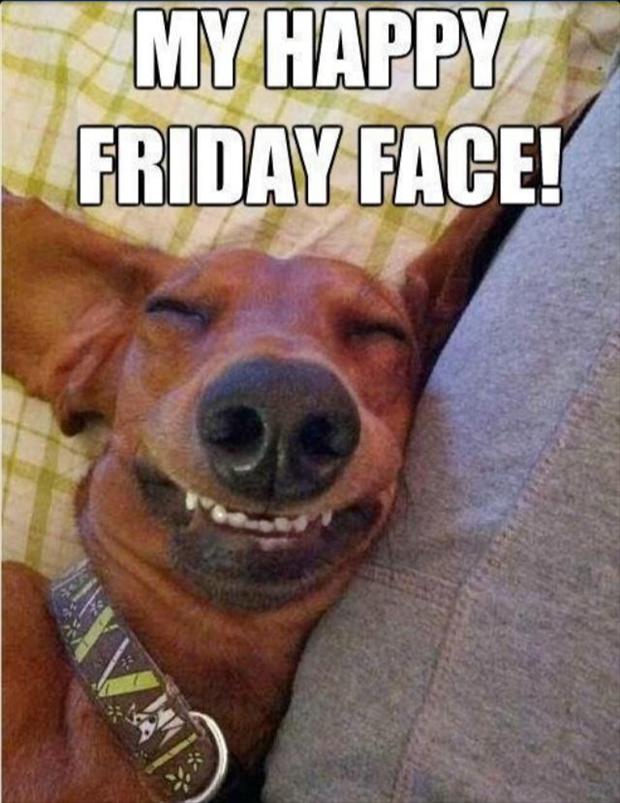 Basepoint_Havnt's tweet photo. Happy Friday Everyone! Here @Basepoint_Havnt we are dog friendly and have lots of our Licencees who can bring their dog to work anytime. #dog #friday #friyay #basepointhavant https://t.co/akGC54za9a