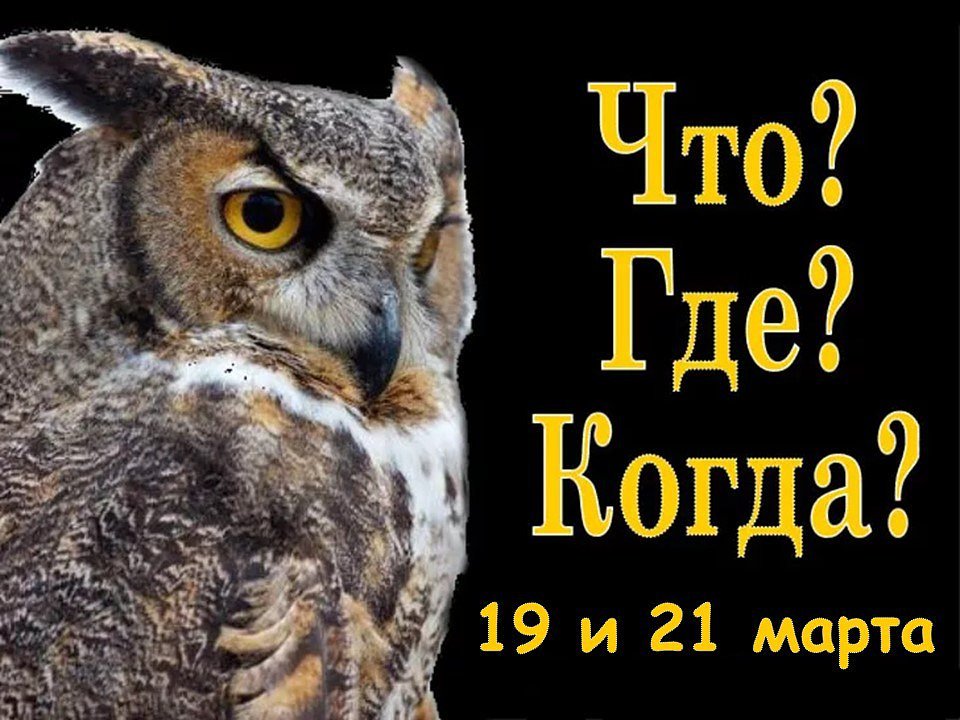 Что где когда в картинках