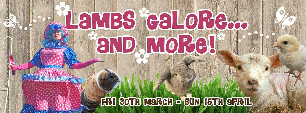 kidstodo's tweet image. Join in lots of ‘eggstra’ special activities including the Easter Hunt at  @SpringBarnFarm , Lewes, East Sussex.  bit.ly/2FI1Ao8  #Easter #FamilyDay #kids #lambs #lambing  #easteregghunt