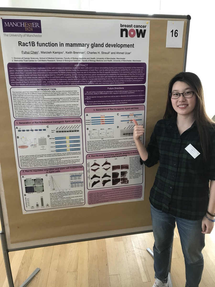 MCRBreastCentre's tweet photo. 1st year @MCRBreastCentre PhD students @FuhuiChen, Tom Kedward and Megan Thompson presenting their posters at #ENBDC in Weggis. Beautiful site, and the chance to hear about 1st class breast development and cancer research. @enbdc @MCRCnews @breastcancernow https://t.co/2Zb8rlrRgY
