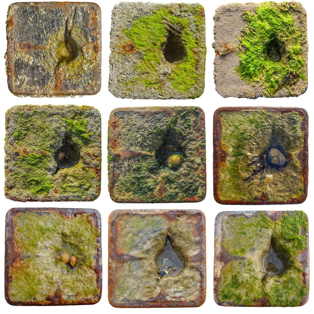 MartyrsArts's tweet photo. We're open til 5 today, showing @clifffart's inspiring #Waveworn exhibition. Join us for drinks from 2pm tomorrow to hear Cliff discussing his #archive of data and images, and issues around #coastalerosion and the #intertidalzone. #art #Lewes #coast #Saturday https://t.co/kAFSkNfZ78