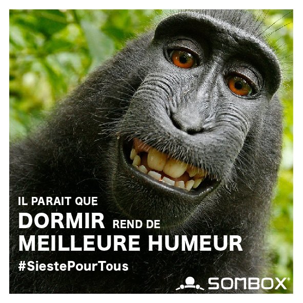 Pour recharger vos batteries, pensez à la sieste ! 💤💤#JournéeDuSommeil #SiestePourTous #SleepTech