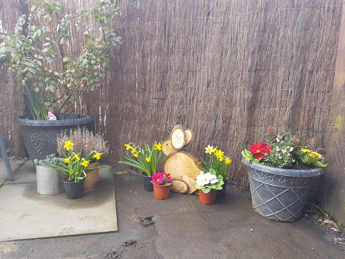 Through the gate tweet media