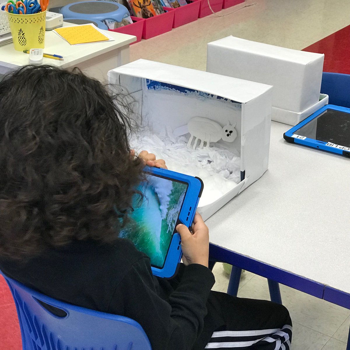 ElizCollier25's tweet photo. Congratulations to the students in Ms Sampson’s class who authored their own original books about arctic animals @PrincipalG_CP @princetonK12  #CelebrationOfWriting https://t.co/4kYC7qJMf9