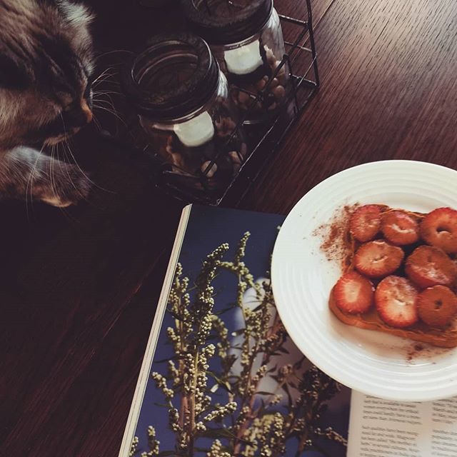 averymoray's tweet photo. Breakfast, a book, and a cat 🤗 I wonder if anyone else puts strawberries on peanut butter toast instead of bananas...?
.
.
.
.
.
#bookstagram #breakfast #kittyreader #booklover #bookworm #igreads #reading #book #booknerd #bookish #bookforbreakfast https://t.co/fWaVHvWLJ5 https://t.co/IOlLqKLsea