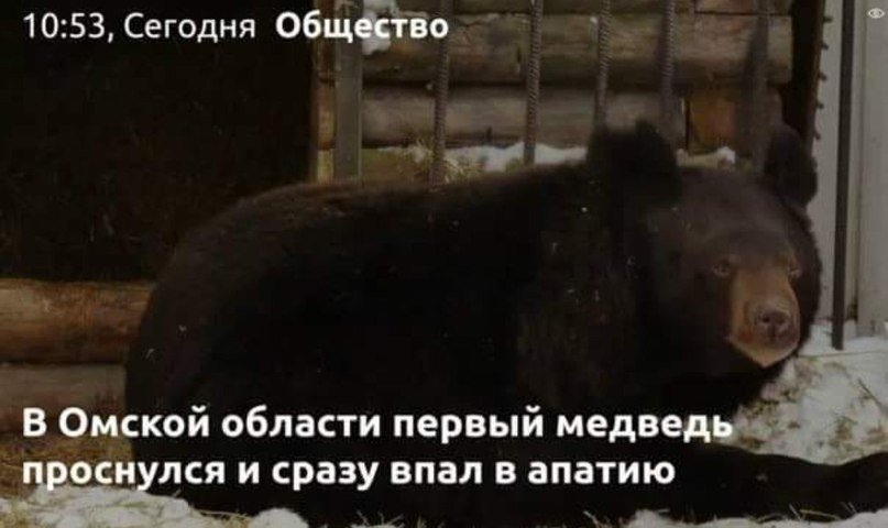 Sigi Zhepka tweet media