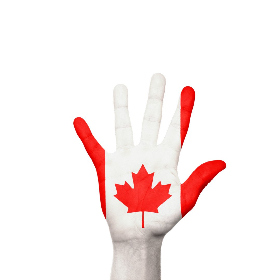 UnitedCanadian's tweet photo. Immigrate to Canada

Visit us at https://t.co/E5HDrlYdn4

#VisitorVisa
#VisitorVisaCanada
#Canada
#ExpressEntry
#CanadaPR
#StudyinCanada https://t.co/CpMLZJZWIU