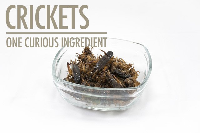 foodbloggersCA's tweet photo. Crickets - have you tried one? They're being touted as the next sustainable protein source. https://t.co/5E8ZdQasj0 https://t.co/JVwx5Vrbbr