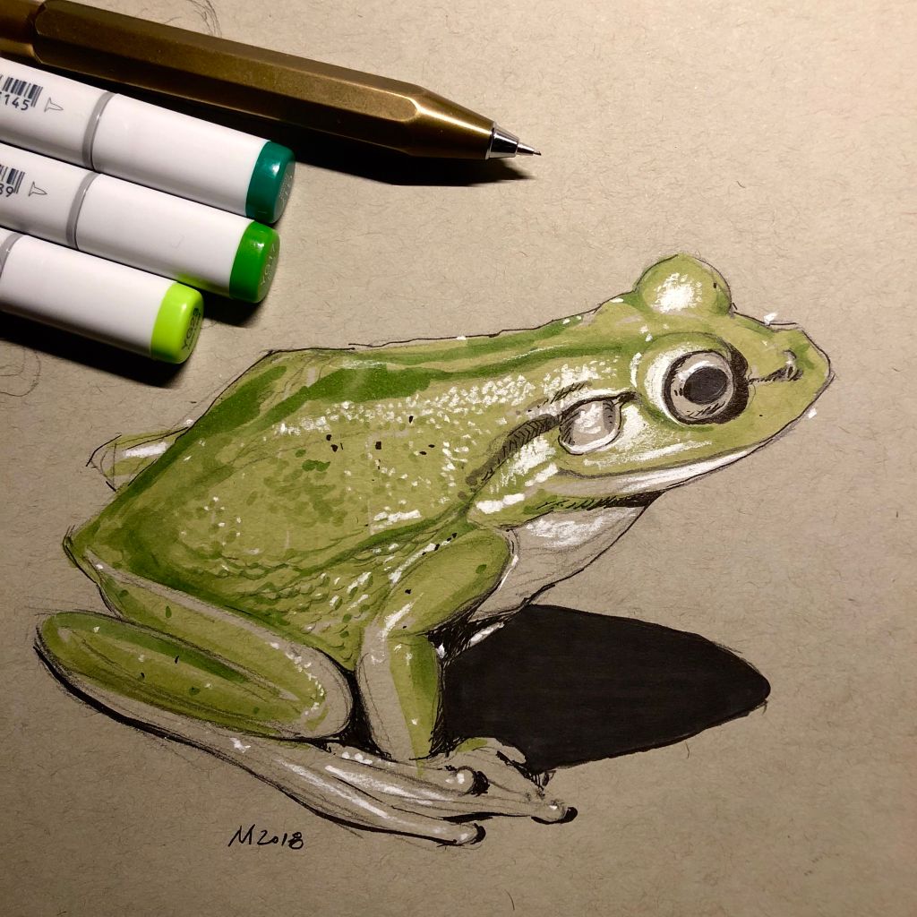 markeruniverse's tweet photo. Vjeko Miloradovic (@wrenchbone) prefers sketching on toned gray paper because it gives the opportunity to play with white pencil and bring life and dimension into drawings, like with this frog created for March #CopicColors.

What is your preferred canvas for Copic Markers? https://t.co/rw3Mo7bf67