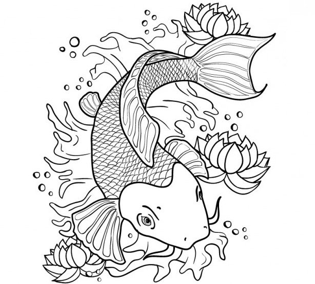 pondstarsuk's tweet photo. Friday!! Means a closer look at fish for us here! Check out our latest blog post ..love them or hate them , Butterfly Koi!!
#butterflykoi #koilover #koipond #pondbuilder #pondclean #koifacts
https://t.co/fsR3HwRpHf https://t.co/8ZotGRb81K