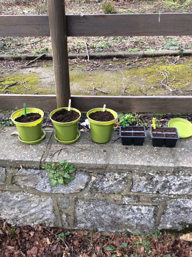 mcchtransitions's tweet photo. Looking forward to using #fresh #herbs in our #cookandeat sessions #extratasty https://t.co/uOzBCnnY1U