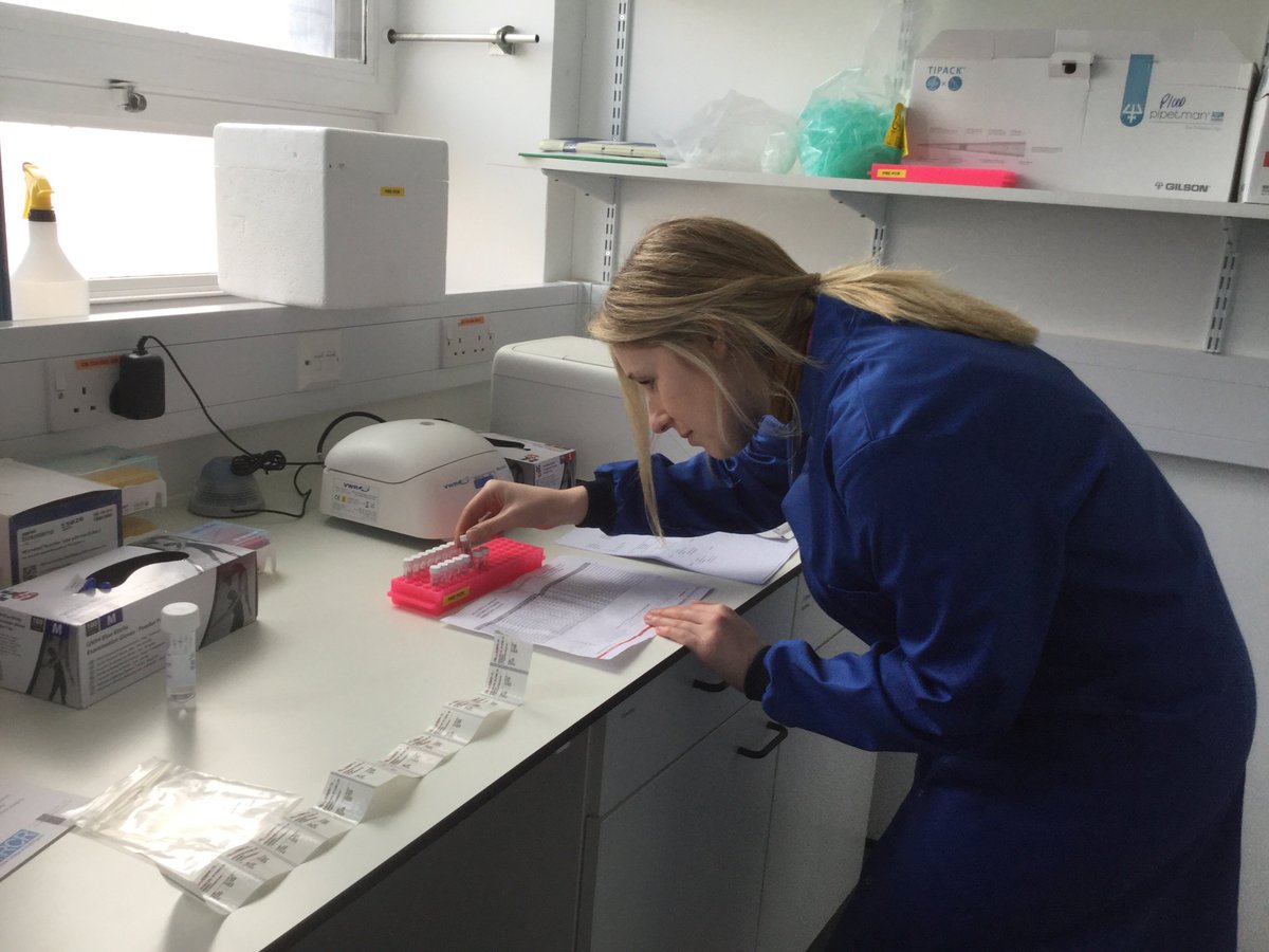 ImperialPeople's tweet photo. In the lab with Gemma she has got some new PCR primers for a gene she is optimisting for her Genome Medicine Masters project #genome #HCSWeek2018 https://t.co/rTYDStoIb7