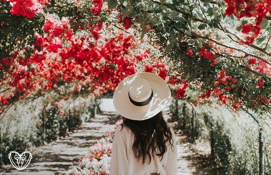 elbauldmaricruz's tweet photo. Invocamos a la primavera con las nuevas colecciones. #springsummer2018 #ss18 #wellcomespring https://t.co/dsWoVKZkAn https://t.co/SYtS6XIRWH