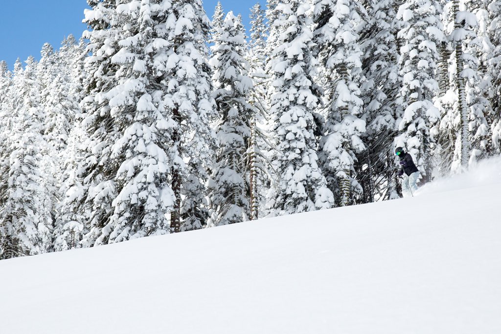 Northstar_CA's tweet photo. The powder days continue!  Northstar has received 26” of new snow in the last 24 hours. 📷: 03.15.18 https://t.co/QjVvKPMtgH