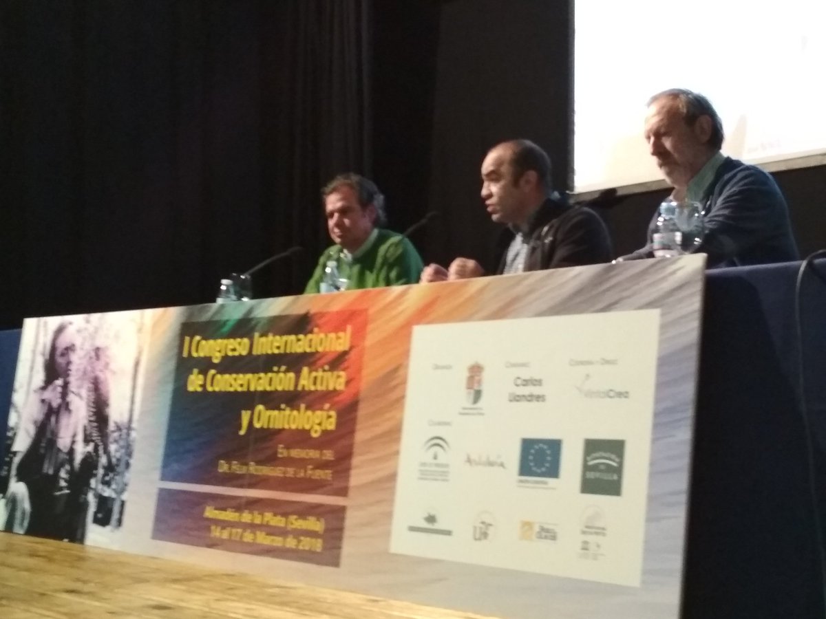 FelixCuenta's tweet photo. Ahora en el I Congreso Internacional de Conservación y Ornitología en #AlmadéndelaPlata 

"Problemática actual de nuestros ecosistemas y especies invasoras"

#FélixCuenta https://t.co/2riaUpYZRv