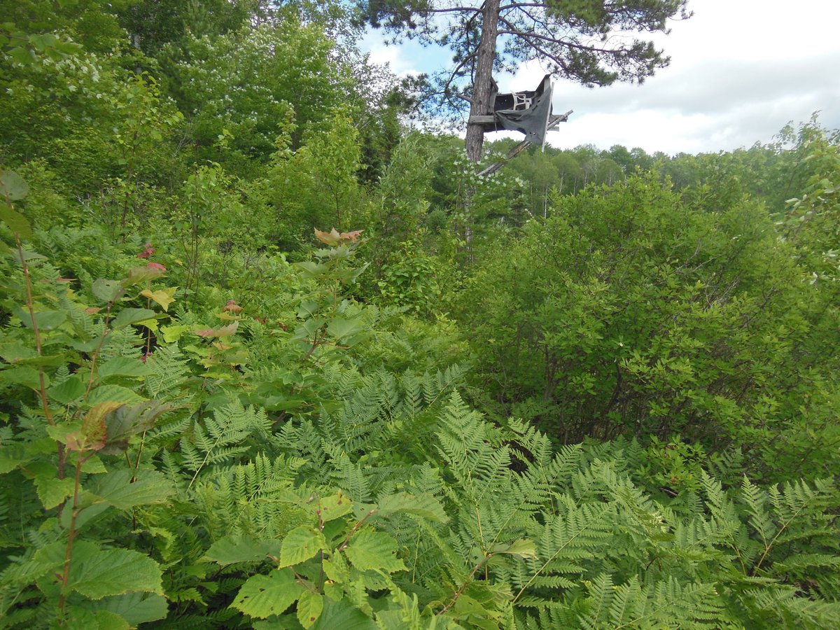 Where is the path? “There is no path. You make the path by walking. By walking you make the path.” From our trip in the wilderness 2017 #hpm18 #hospice #palliativecare