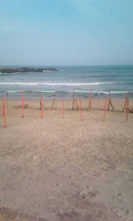 BR LOS PROCERES tweet media