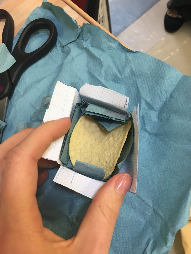 Sophie Charde tweet media