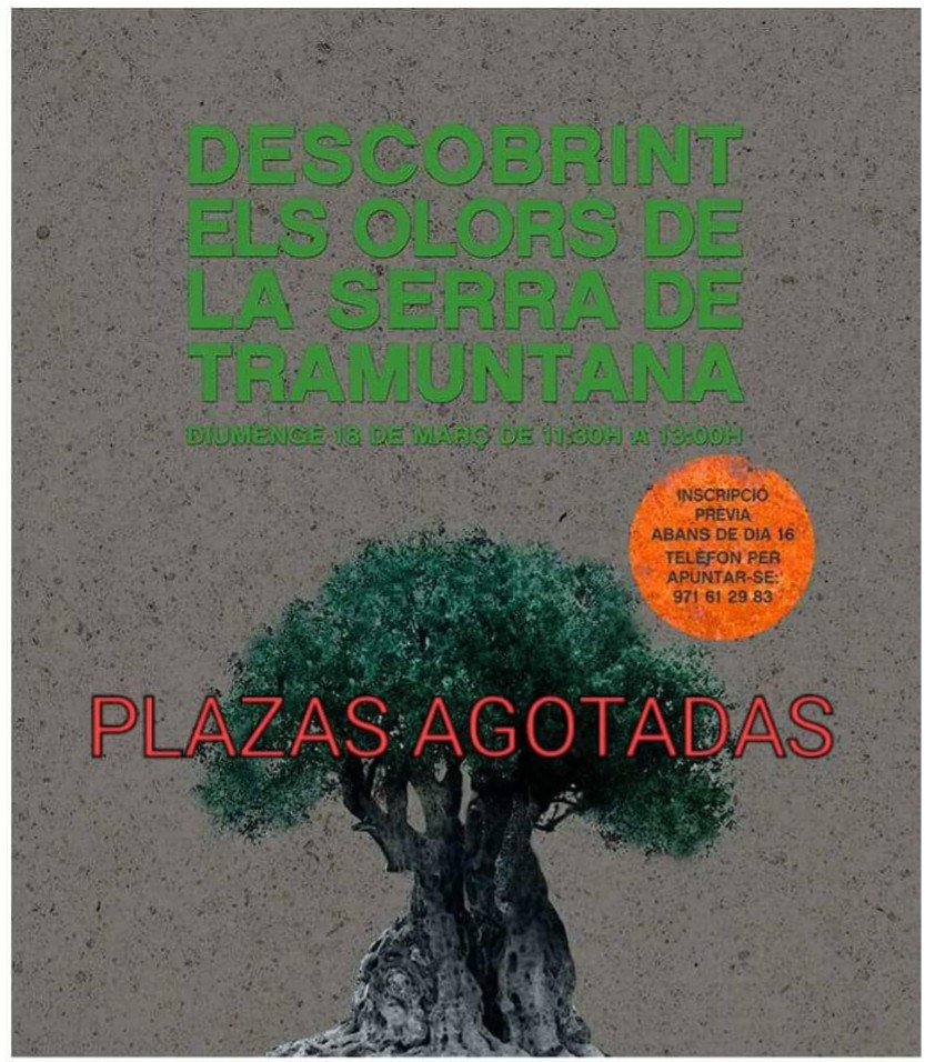 Diverarqueologa's tweet photo. Plazas agotadas! De nuestro taller sensorial en la mejor aula del mundo la #serradetramuntana #tramuntana fundación @fccollbardolet #collbardolet #valldemossa @VisitValldemoss https://t.co/2SWRBpZMZy