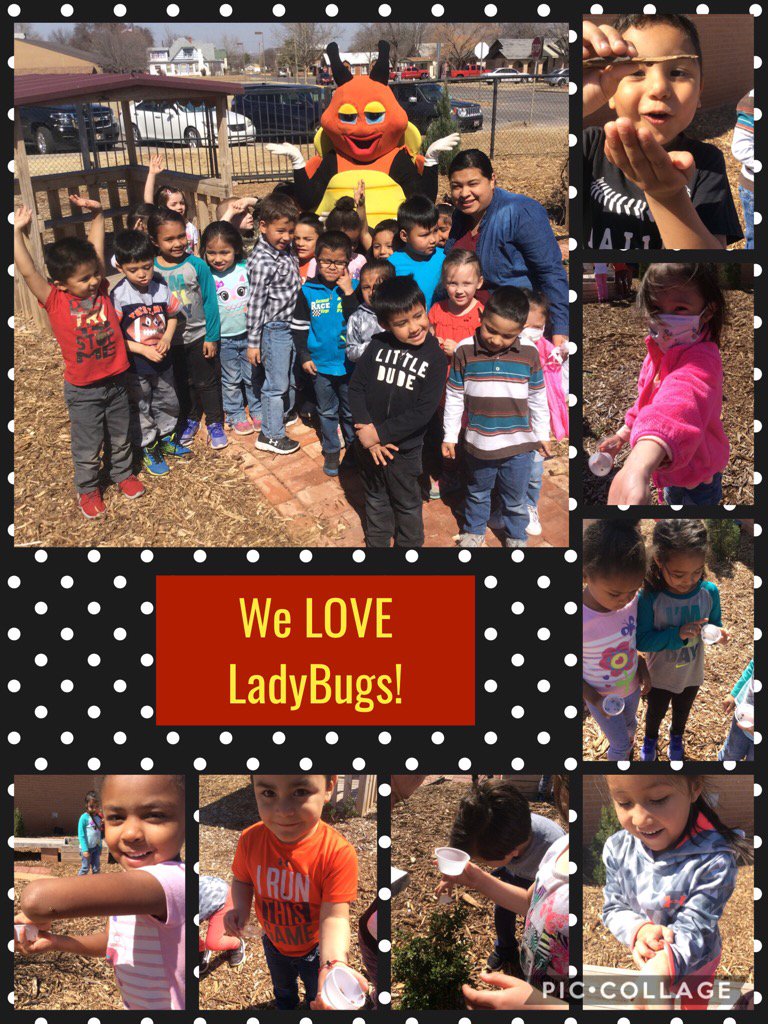 Heather Davis tweet media