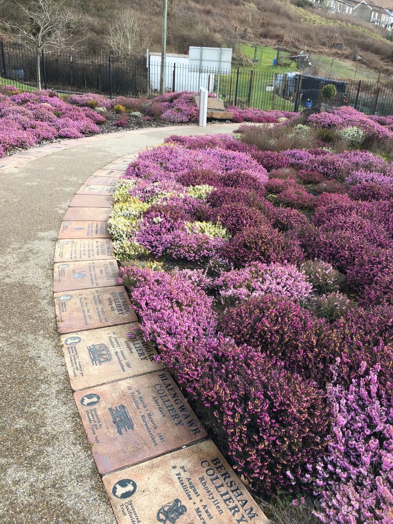 jlangdon101's tweet image. #HistoryTrip #Senghenydd