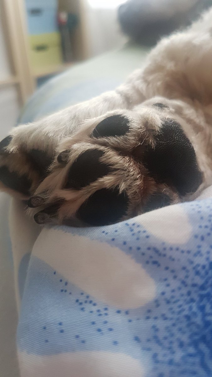 Danke <a href="/BluCherryBella/">Bella</a> 

Ich sag mal jeder der Lust hat kann mitmachen:)