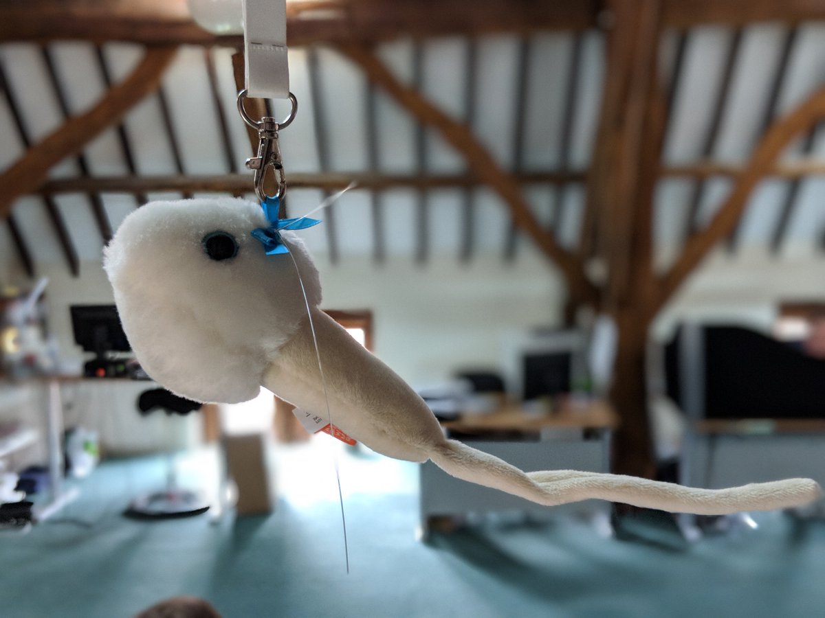 Gesichtet im Kinderwunsch Tage Büro: ein kleines Geschenk von der Berliner Samenbank. Danke nochmal! Wir freuen uns schon darauf euch auf den Kinderwunsch Tagen in Köln wiederzusehen! (Erwerben könnt ihr ihn bei Giant Microbes)