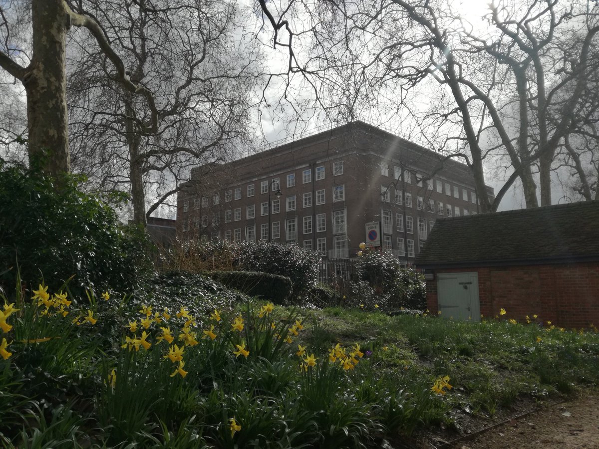 Warburg_News's tweet photo. Lovely view of the Institute, have a great weekend #FridayFeeling https://t.co/MtkYLHQXIE