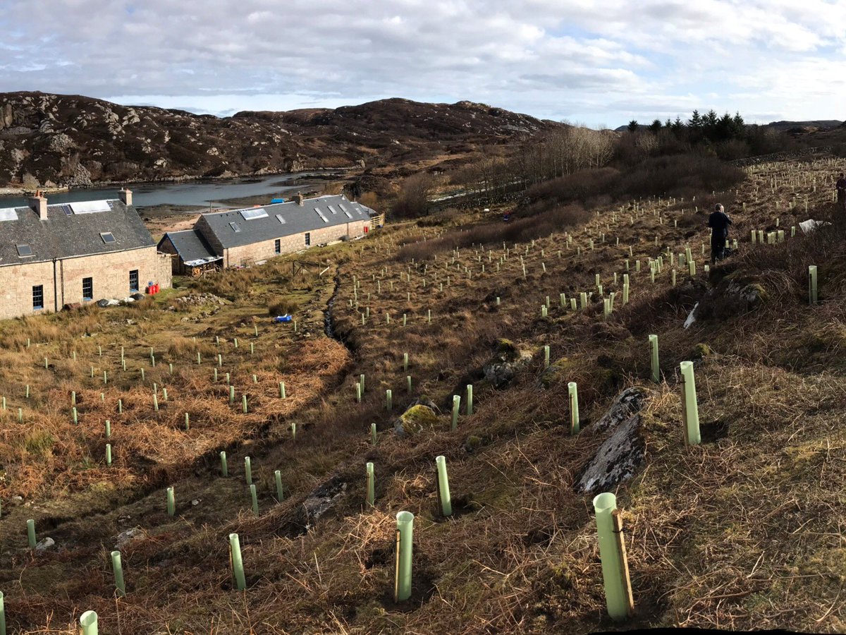 luctweeting's tweet photo. Our #landscapeplanner Alex had an amazing time volunteering in the Hebridean sunshine at the Camas Outdoor Centre on the beautiful island of Mull, personally planting over 400 trees that were supplied by @WoodlandTrust. Thanks to @ionacommunity @NCWoodlands for organising https://t.co/12DByDe4ga