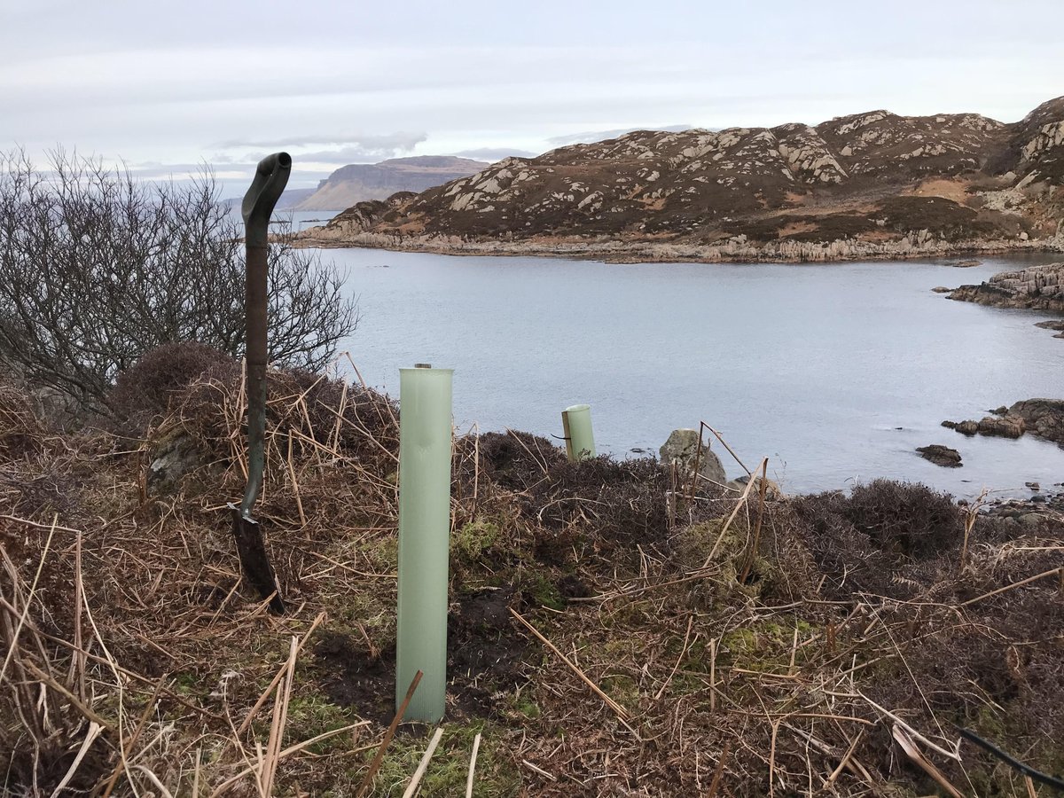 luctweeting's tweet photo. Our #landscapeplanner Alex had an amazing time volunteering in the Hebridean sunshine at the Camas Outdoor Centre on the beautiful island of Mull, personally planting over 400 trees that were supplied by @WoodlandTrust. Thanks to @ionacommunity @NCWoodlands for organising https://t.co/12DByDe4ga