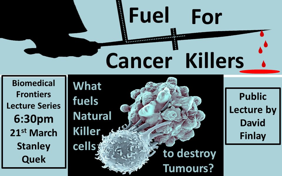 Public lecture Mar 21st 6:30 pm Stanley Quek Theatre, TBSI, Pearse St.
Dr David Finlay, Fuel for cancer killers: what fuels natural killer cells to destroy tumours? All welcome; admission free. info nicabhan@tcd.ie
tcd.ie/Biochemistry/n… … pic.x.com/ylCNro09Ow