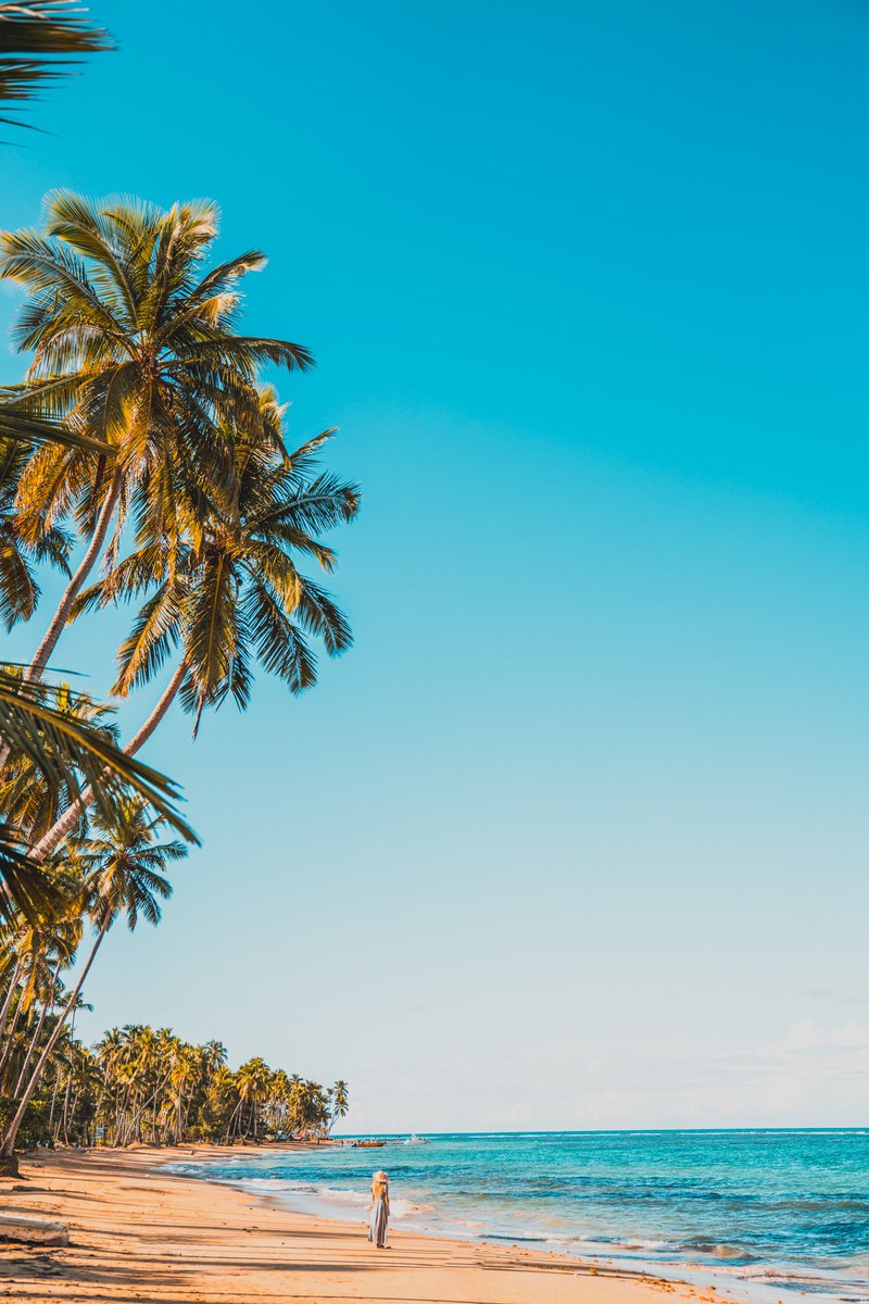 GoDomRep's tweet photo. No nos gustan las largas caminatas en la playa, ¡NOS ENCANTAN! 

📍Las Terrenas https://t.co/0M56tbKOx9