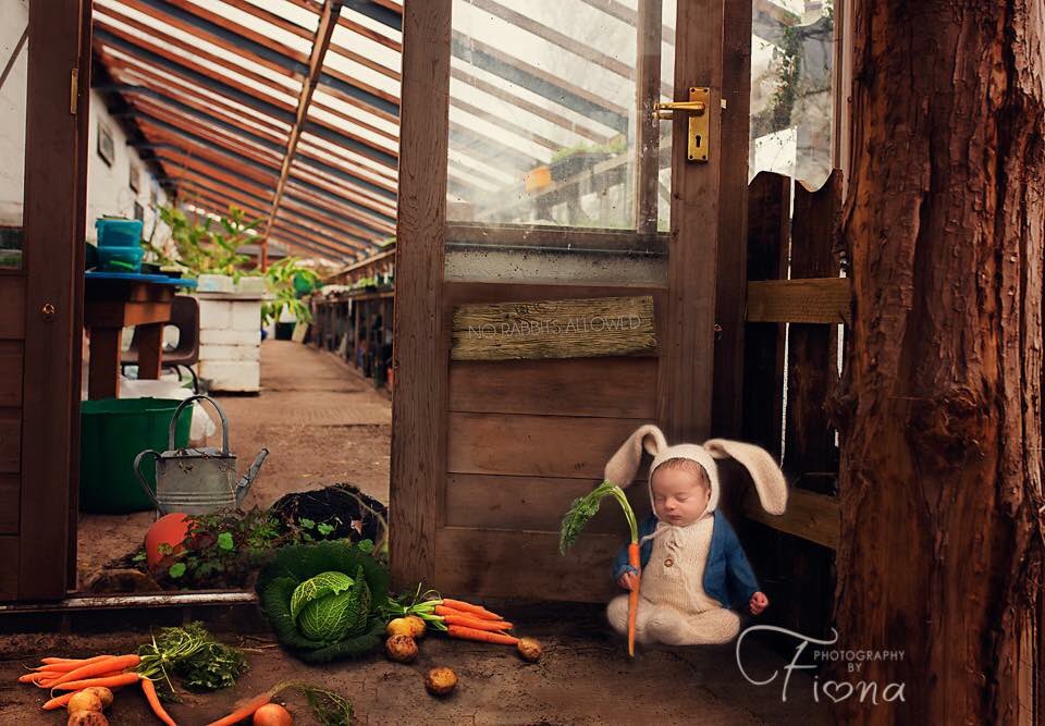 Photography by Fiona tweet media