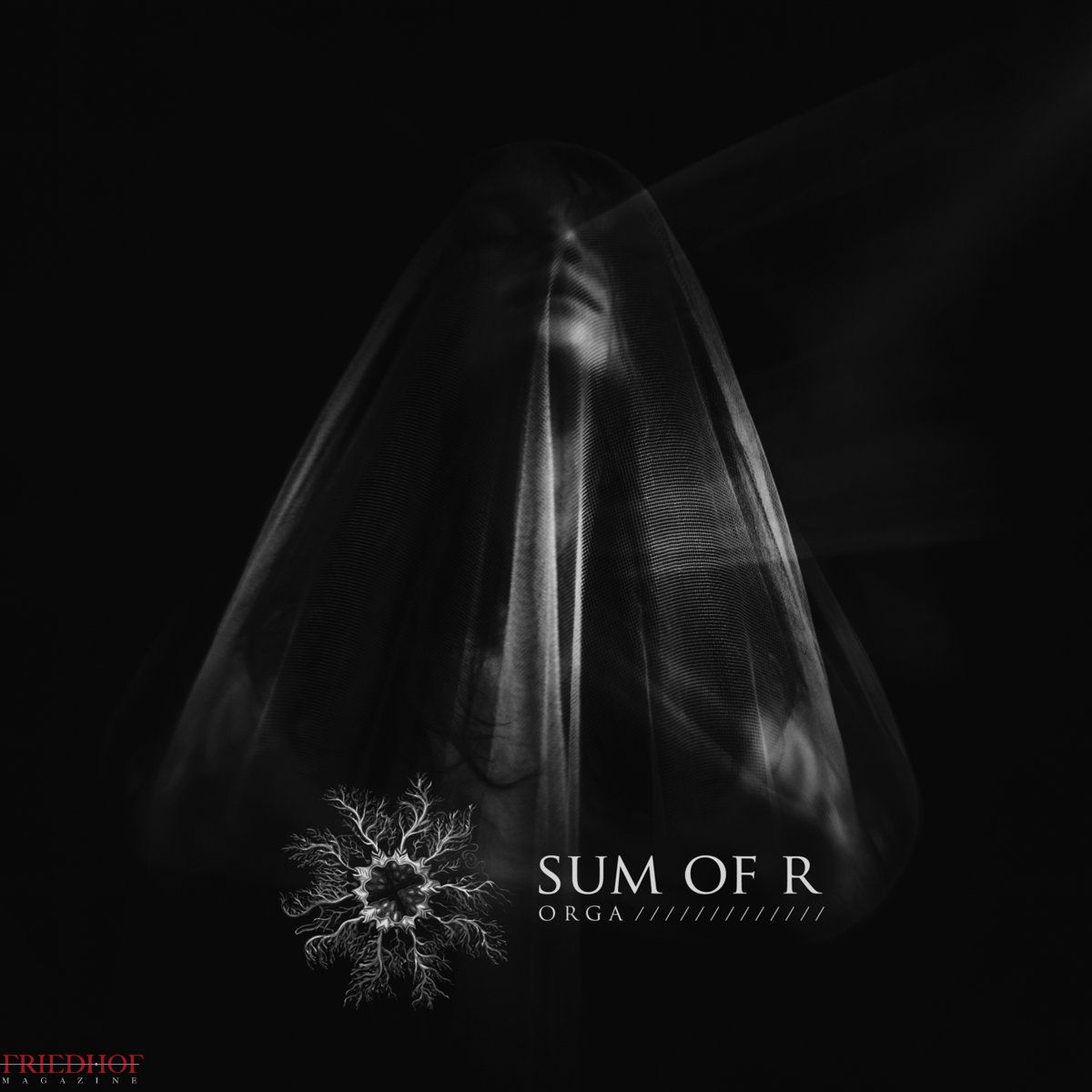 Friedhofmag's tweet photo. [ Album review / Crítica de Cd ] #SumOfR - "Orga" 👉 7/10 👈 https://t.co/HScx5xo7QS #DarkMetal @CyclicLaw https://t.co/9k4es7nIgz