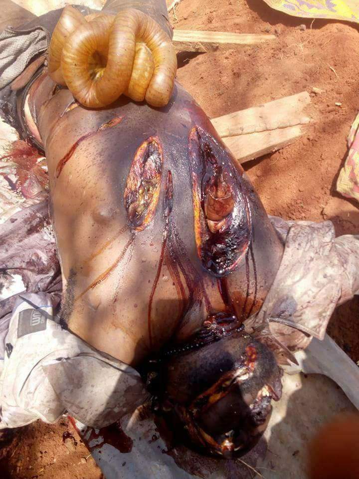 okaformichael26's tweet photo. D world can now agree wit Nnamdi KANU DAT Nigeria is a zoo https://t.co/NwUB0cXrlr