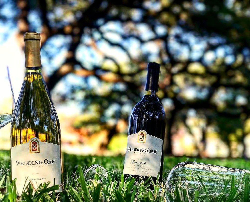 crushtexaswine's tweet photo. Slow down long enough to appreciate the blessings of the land while enjoying local food and wine with friends, family and community. And that’s where @WeddingOakWine began.
#txwine #wineroad290 @WildseedFarms https://t.co/zFYS24mcRY