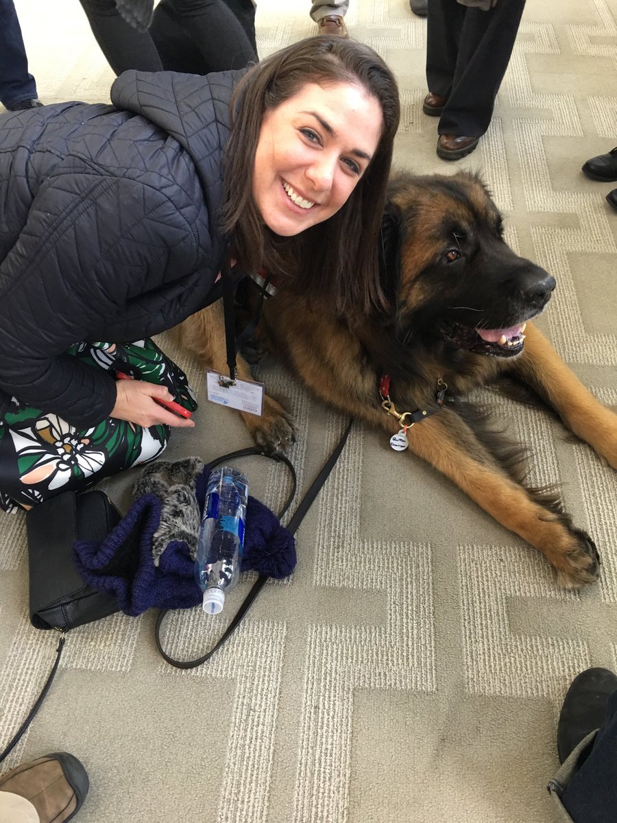 Here’s why we didn’t do cards fellowship! Fellows and puppies. #hpm18