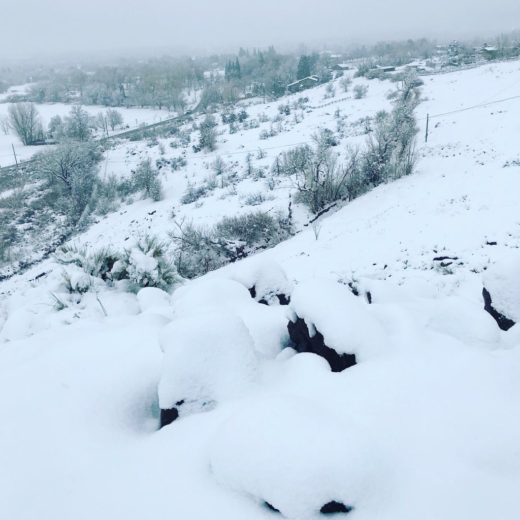 KevinBrunson's tweet photo. #RunStreak day 3815, #FridaySnowRun 8.70 miles, #YesterdayRunStreak5KDay3814. 🏃🏻#RunEveryDay #BQ02242018 #Boston2019 #RenoNevada #Run #MarathonTraining #RunningForMentalHealth #RunEveryDay #BartleyRanchPark #LakeridgeDrive #AndersonPark #WheatlandPark https://t.co/FIjazkw9pt