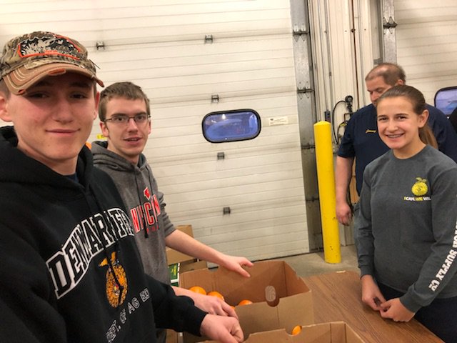 denmarkffa's tweet photo. Love seeing all these awesome FFA members bright and early this morning to help our FFA Alumni sort fruit!! #alumni #fruitsale #denmarkpride https://t.co/WBGeQDpuOb