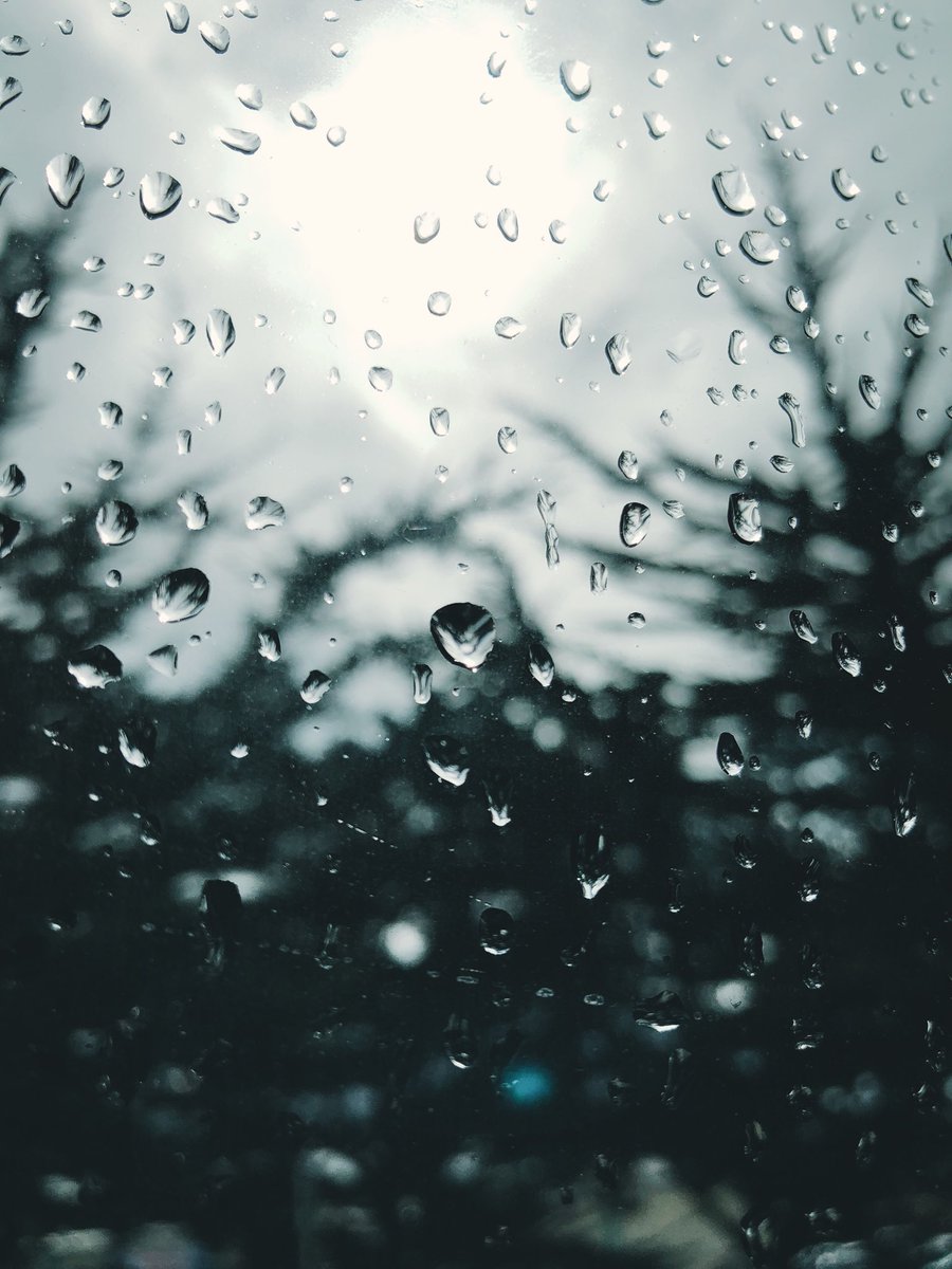 whydontwemusic's tweet photo. rainy in the bay https://t.co/wWRrt03u2I