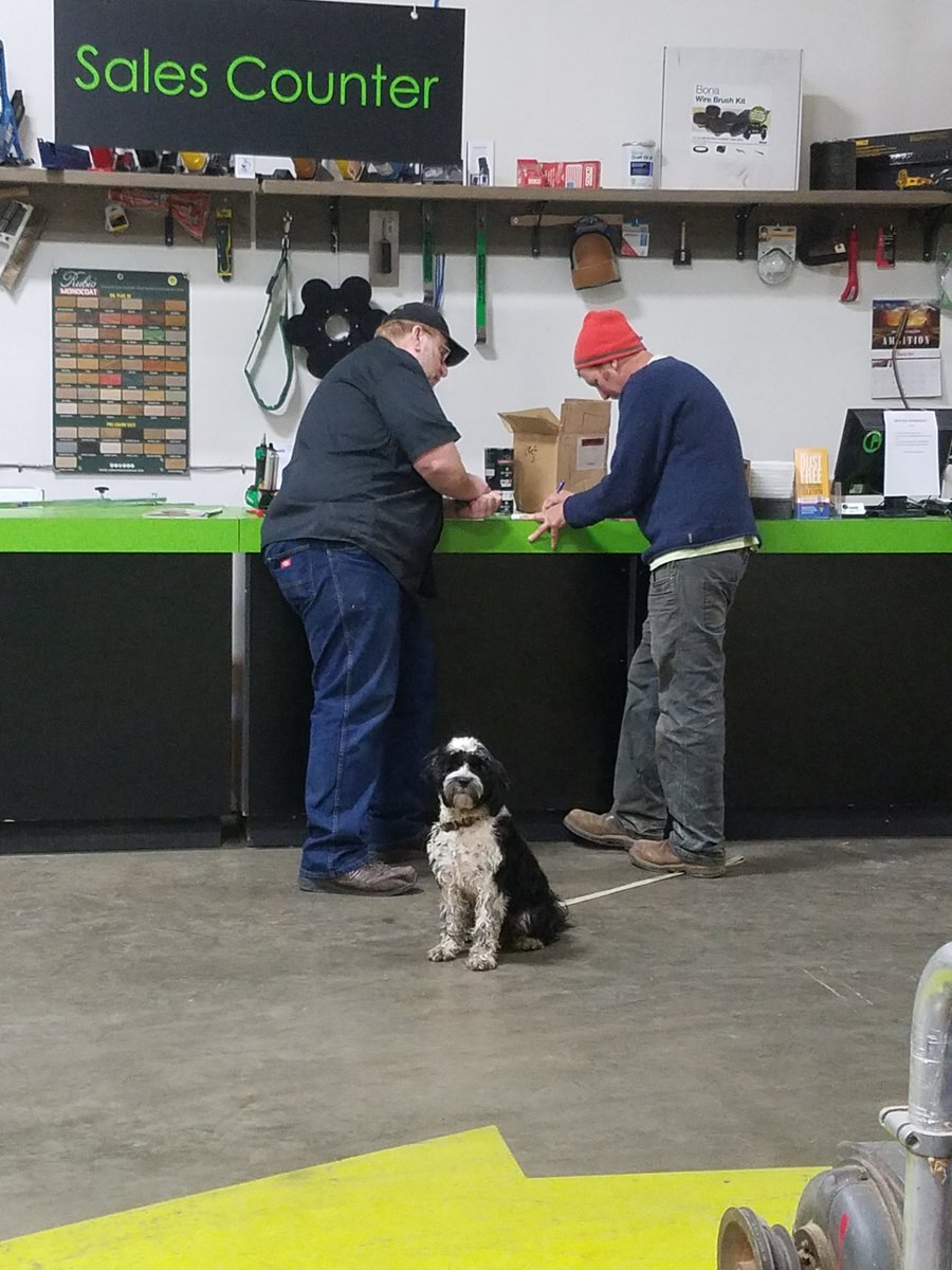 Getting candid with our customer's dog today. We at Greenpointe love our customers and their dogs alike. #greenpointefloorsupply #woodfloor #contractors #dogfriendly #wooddogs #contractorofinsta
